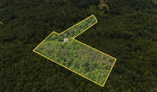 Photo #3 of 277 Crab Creek Rd, Monroe, VA 35.1 acres