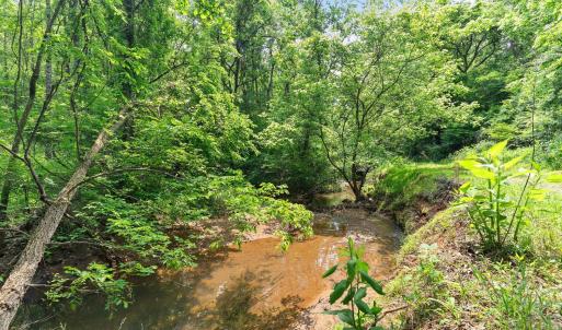 Photo #45 of 277 Crab Creek Rd, Monroe, VA 35.1 acres