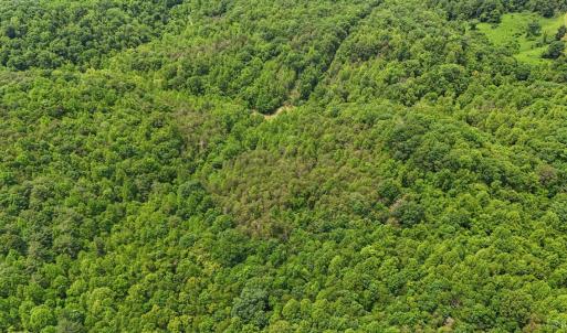 Photo #34 of 277 Crab Creek Rd, Monroe, VA 35.1 acres