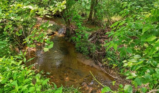 Photo #39 of 277 Crab Creek Rd, Monroe, VA 35.1 acres