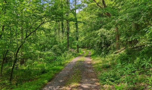 Photo #31 of 277 Crab Creek Rd, Monroe, VA 35.1 acres