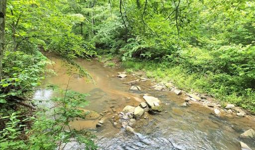 Photo #3 of 2995 Bear Creek Road, Rustburg, VA 25.3 acres
