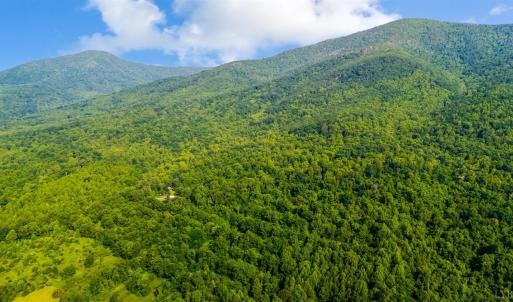 Photo #47 of 1807 Wheats Valley Road, Bedford, VA 64.4 acres
