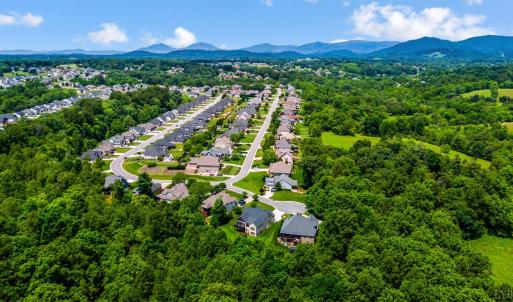 Photo #9 of 1107 Leander Drive, Forest, VA 0.5 acres