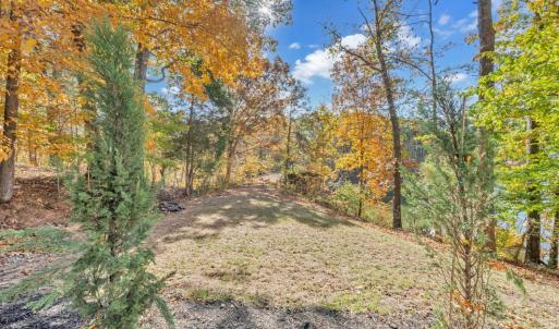 Photo #69 of 16358 Moneta Road, Moneta, VA 1.6 acres
