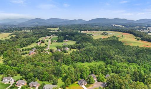 Photo #7 of 1290 Ivy Creek Drive, Forest, VA 1.3 acres