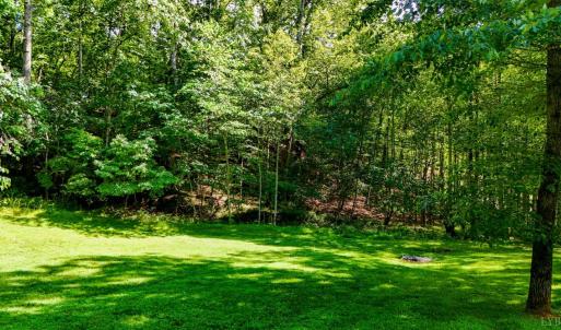 Photo #97 of 1582 Venturous Trail, Goode, VA 12.5 acres