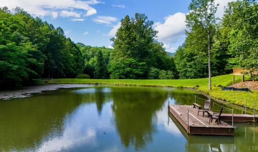 Photo #75 of 1582 Venturous Trail, Goode, VA 12.5 acres