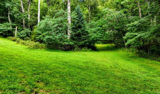 Photo #96 of 1582 Venturous Trail, Goode, VA 12.5 acres
