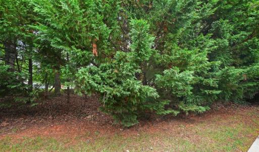 Photo #41 of 158 Salisbury Circle, Lynchburg, VA 0.0 acres