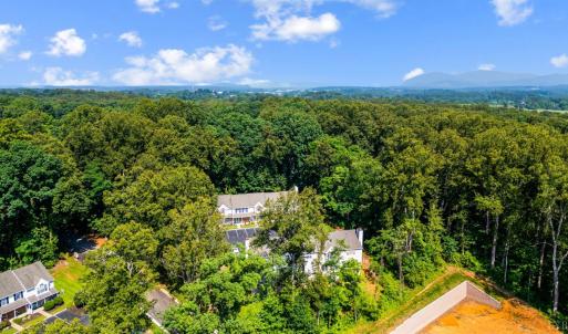Photo #28 of 17 Jefferson Village Drive, Forest, VA 0.0 acres