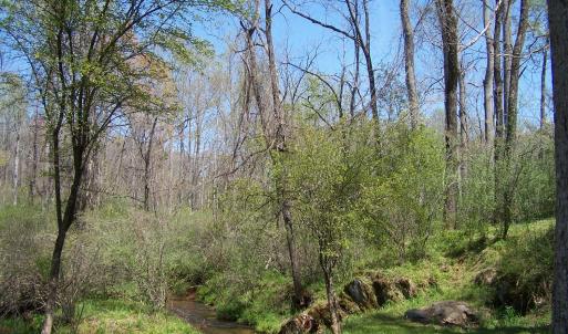 Photo #69 of 115 Trinity Court, Lynchburg, VA 2.5 acres