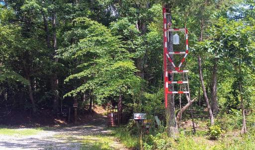 Photo #55 of 176 Toms Lane, Roseland, VA 1.9 acres