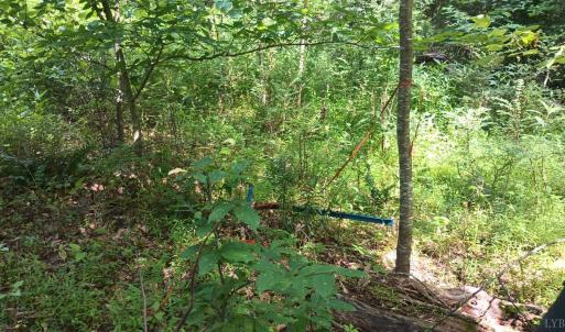 Photo #45 of 176 Toms Lane, Roseland, VA 1.9 acres