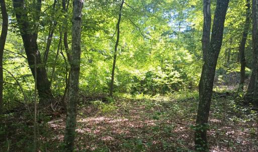 Photo #47 of 176 Toms Lane, Roseland, VA 1.9 acres
