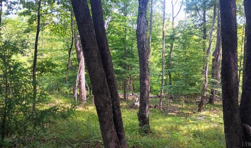 Photo #42 of 176 Toms Lane, Roseland, VA 1.9 acres