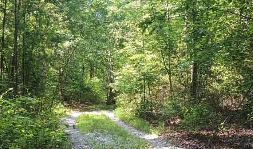 Photo #52 of 176 Toms Lane, Roseland, VA 1.9 acres