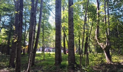 Photo #44 of 176 Toms Lane, Roseland, VA 1.9 acres