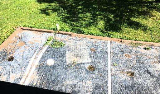 Photo #35 of 176 Toms Lane, Roseland, VA 1.9 acres