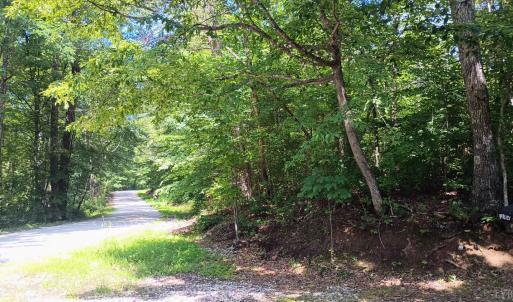 Photo #54 of 176 Toms Lane, Roseland, VA 1.9 acres