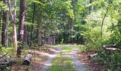 Photo #2 of 176 Toms Lane, Roseland, VA 1.9 acres