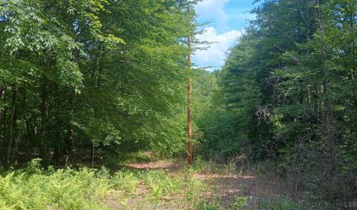 Photo #49 of 176 Toms Lane, Roseland, VA 1.9 acres
