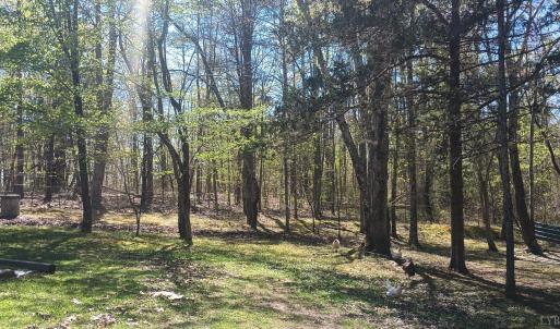 Photo #39 of 176 Toms Lane, Roseland, VA 1.9 acres