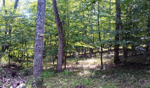 Photo #46 of 176 Toms Lane, Roseland, VA 1.9 acres