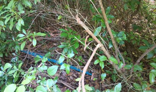 Photo #48 of 176 Toms Lane, Roseland, VA 1.9 acres