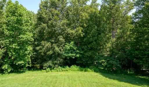 Photo #71 of 1153 Carlton, Forest, VA 1.1 acres