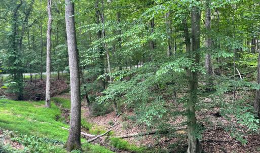 Photo #40 of 356 Juniper Drive, Lynchburg, VA 1.1 acres