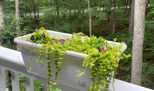 Photo #31 of 356 Juniper Drive, Lynchburg, VA 1.1 acres