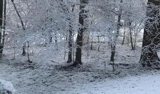 Photo #51 of 356 Juniper Drive, Lynchburg, VA 1.1 acres