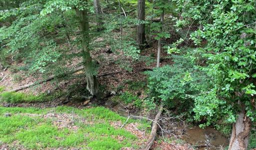 Photo #41 of 356 Juniper Drive, Lynchburg, VA 1.1 acres