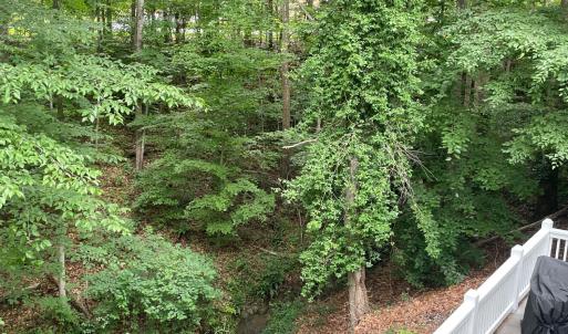Photo #35 of 356 Juniper Drive, Lynchburg, VA 1.1 acres