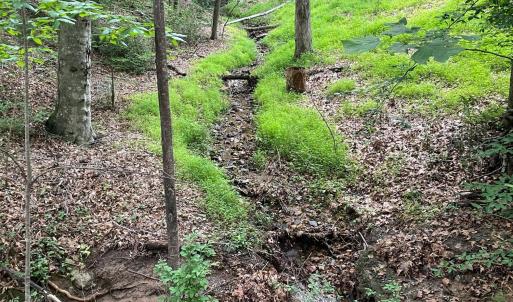 Photo #47 of 356 Juniper Drive, Lynchburg, VA 1.1 acres