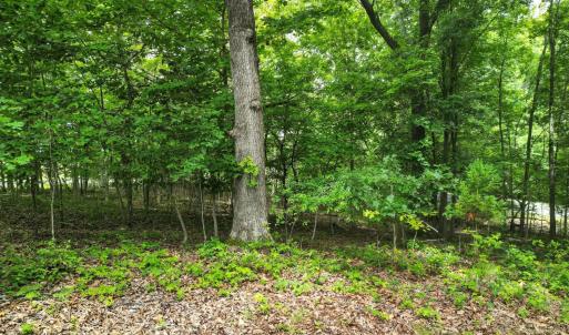 Photo #52 of 1106 Gladden Circle, Forest, VA 1.8 acres