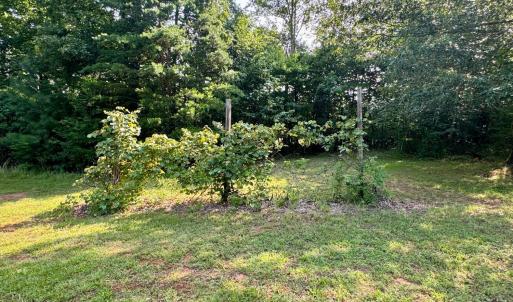 Photo #9 of 290 Green Acres Drive, Evington, VA 1.6 acres