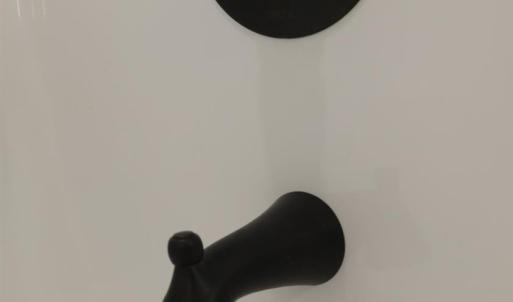 Photo #51 of 863 Winfall Road, Gladys, VA 2.6 acres