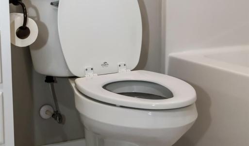 Photo #53 of 863 Winfall Road, Gladys, VA 2.6 acres