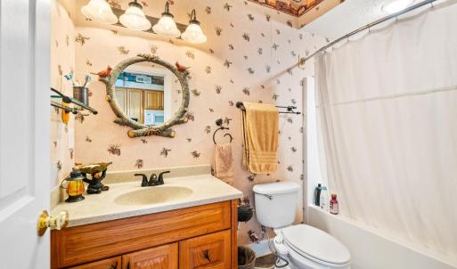 Photo #62 of 1305 Summerpark Drive, Forest, VA 1.0 acres