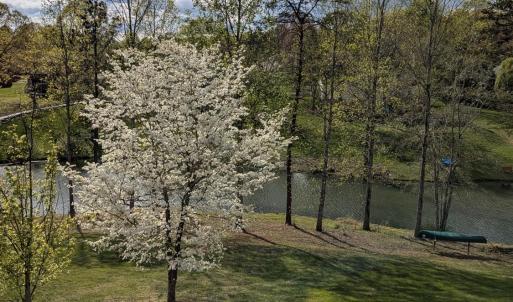 Photo #78 of 1305 Summerpark Drive, Forest, VA 1.0 acres
