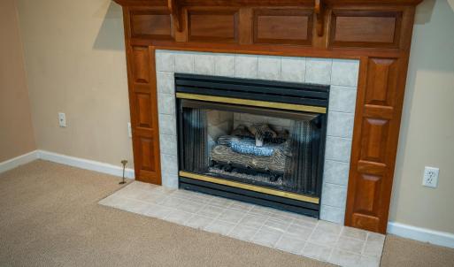 Photo #20 of 1065 Mistwood Place, Forest, VA 0.9 acres