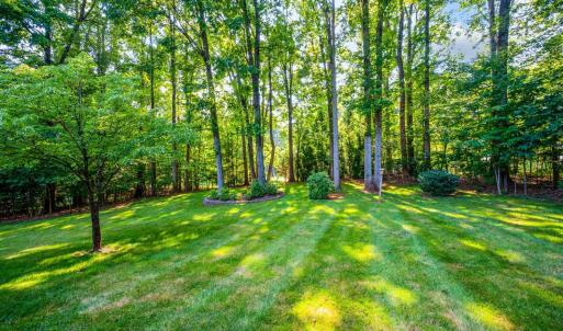 Photo #52 of 1065 Mistwood Place, Forest, VA 0.9 acres