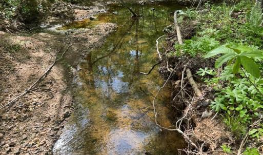 Photo #67 of 1746 Wheeler Road, Lynchburg, VA 13.5 acres
