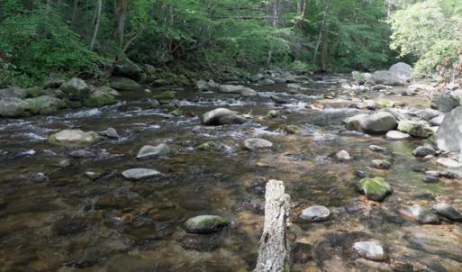 Photo #59 of 2070 Woodson Rd, Roseland, VA 7.5 acres