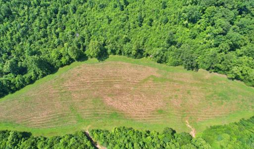 Lower Field aerial view