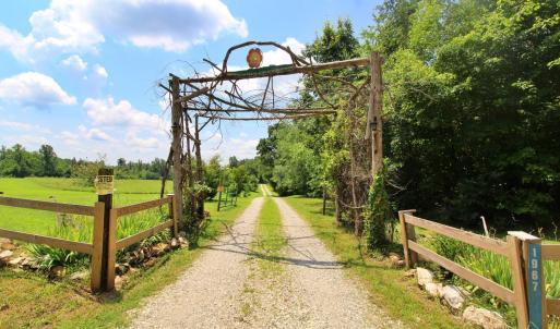 Photo #7 of 1967 Cub Creek Road, Appomattox, VA 70.8 acres