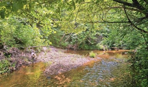 Cub creek at back of property