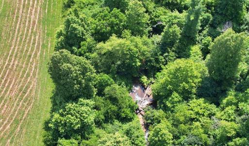 Photo #61 of 1967 Cub Creek Road, Appomattox, VA 70.8 acres